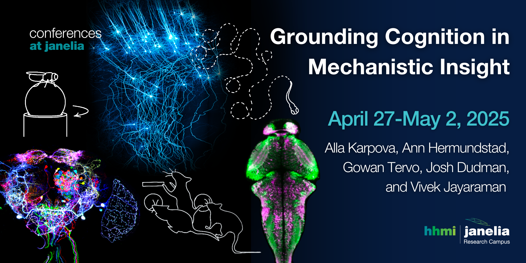 Grounding Cognition in Mechanistic Insight | Janelia Research Campus